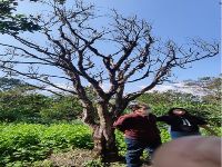 Staffs Field Visit