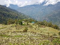 Agriculture in Sikkim 