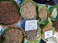 Millets Mela